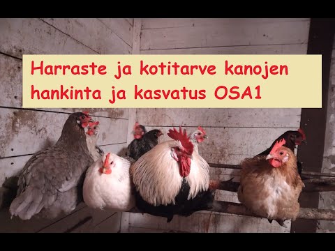 Video: Maarakennusinsinöörin työnkuvan esimerkki