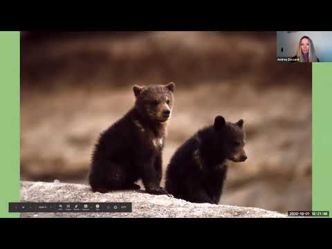 Saving Life on Earth: Carnivores in the Crosshairs - YouTube