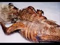 file 26496169 world79 spcs bio
