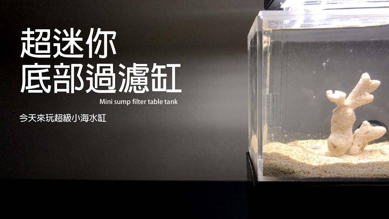 水族系列ep17 水族教學 用超小底部過濾玩海水缸 01 設缸 Youtube