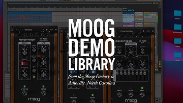 Moogerfooger Effects Plug-ins | DAW Automation