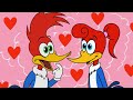 Mejores momentos del Pájaro Loco y Winnie | Día de San Valentín | El Pájaro Loco