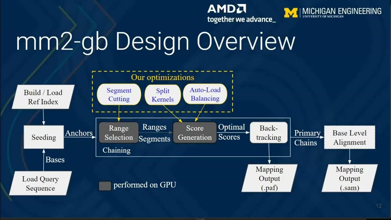 Talk 8: mm2-gb - GPU Accelerated Minimap2 for Long Read DNA Mapping ...