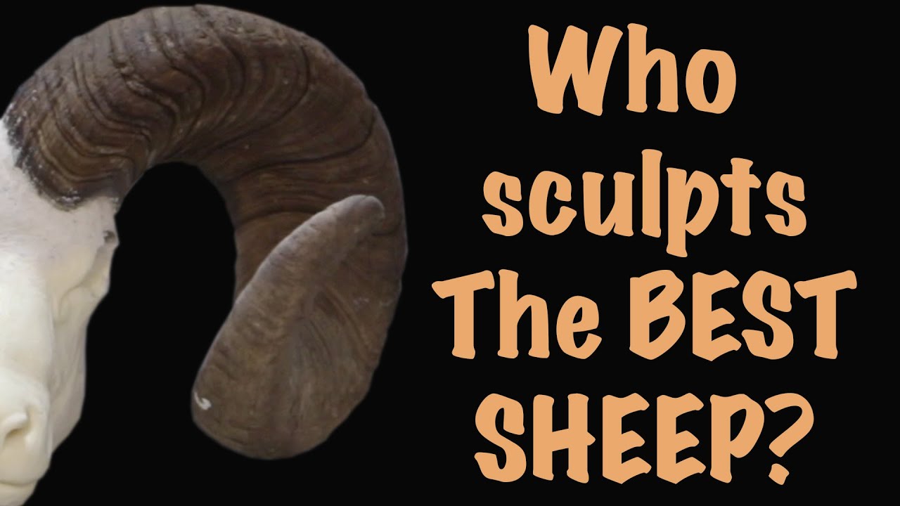 King of the Rockies, Bighorn sheep, facial clay work on the best sheep face. Art of Taxidermy.