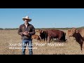 Grazing Management with Texas USDA NRCS Grazing Specialist