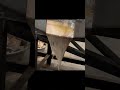 Oil Press Machine | Cold &amp; Hot Press