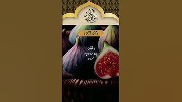 SURAH AL  TEEN ||سورة التين
