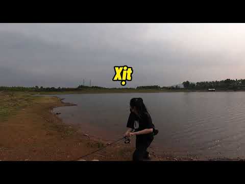 DẠY VỢ CÂU LURE CÁ LÓC ( trailer )