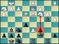 Universal chess opening against d4