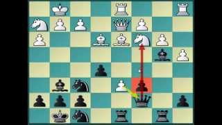 Universal Chess Opening against d4