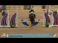 Alexanders Horseboxes Scope Festival | Cats & Pipes Forces Pairs Challenge