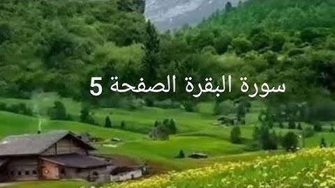 سورة البقرة الصفحة 5 مع مؤشر القلم
