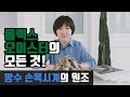 시튜버 이은경 : 모두가 꿈꾸는 드림 워치, 손목에~ 롤렉스 오이스터 퍼페츄얼 컬렉션의 모든 것!