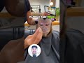 🤣 Begini Reaksinya Saat Monyet di Paksa Masuk Salon