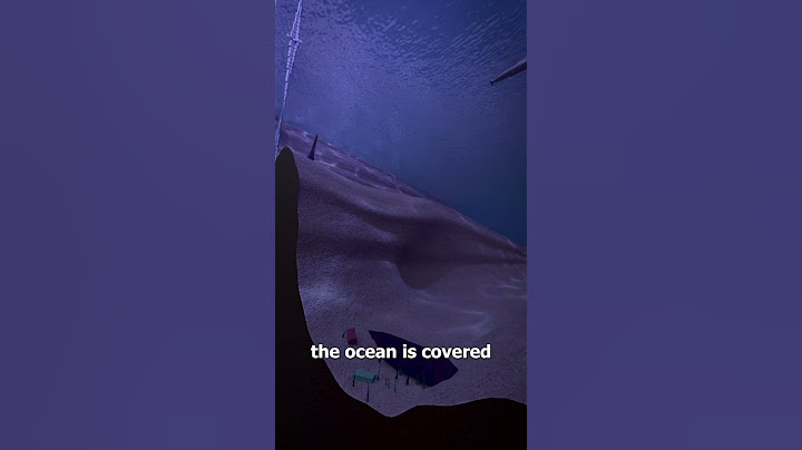 Just How Deep Is The Ocean? 🌊🤔