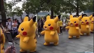 Pikachu Erika March 10 hours