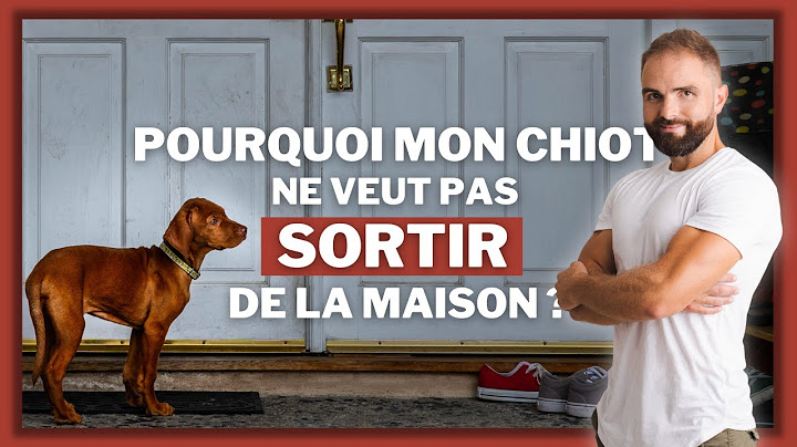Pourquoi mon chiot ne veut pas sortir de la maison ?