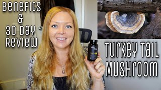 I Tried Turkey Tail Mushroom For 30 Days | Benefits & Review