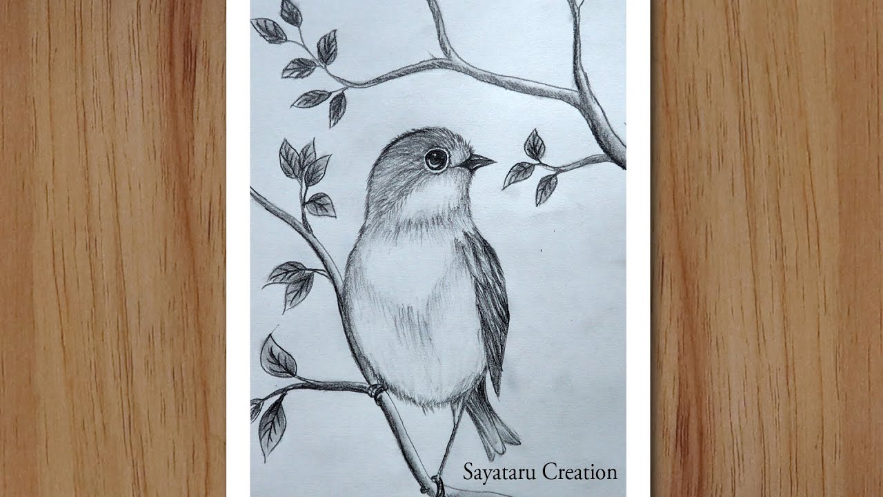 Details more than 85 easy sketch of birds best - in.eteachers