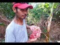 PRITONG BAGA NG BAKA (Fried beef lungs)