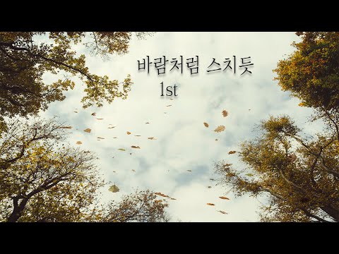 바람처럼 스치듯 - 태립