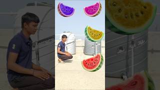 watermelon to dog, elephant, cat &amp; bear -Animals name vfx magic video #animals