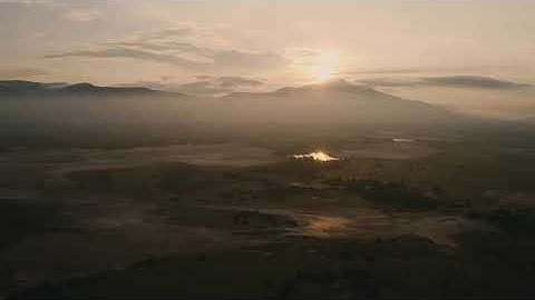 سورة التكاثر / أحمد الحذيفي