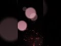 Diwali special 🪔#diwali #diwalispecial #diwali2024 #song #music #shorts #shortsfeed