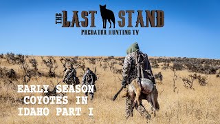 The Last Stand Season 4 - Early Season Coyotes in Idaho Part 1