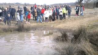 wolfrun with MR DJ