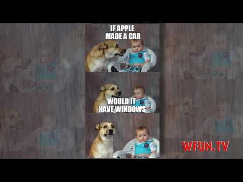 dad-joke-dog-meme-6