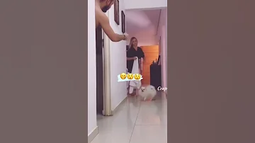الحب في الحمام 