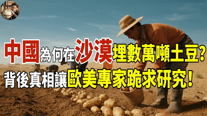 中國為何在沙漠埋數萬噸土豆？背後真相讓歐美專家跪求研究！#中國#中國沙漠#沙漠#沙漠化#治理沙漠#氣候#土豆