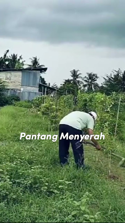 Ingat kata Mak Lampir tetap semangat 🤭😂 #subscribe #shortvideo #reels #shorts