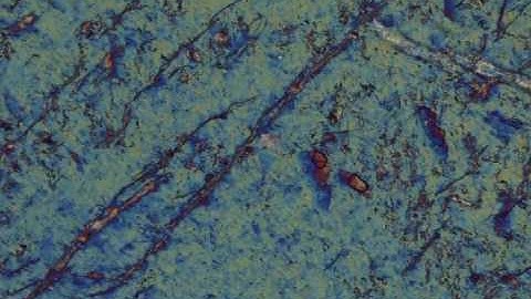 Augite, Crossed Polars