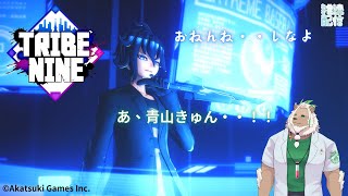 【雑談】ちょっとだけ野球したい気分【トライブナイン】