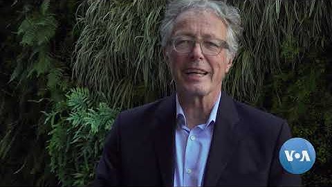 Video Art Pioneer Predicted Screen-Filled World