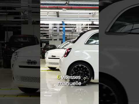 YouTube #!trpst#trp-gettext data-trpgettextoriginal=1007#!trpen#video#!trpst#/trp-gettext#!trpen#