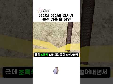 당신의 정신과 의사가 숨긴 거울 속 심연 thumbnail