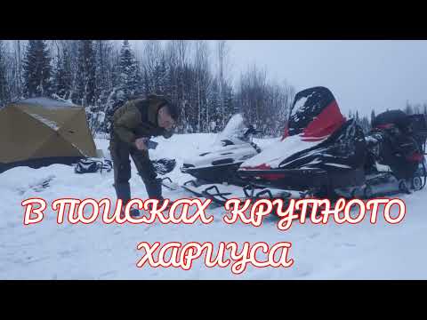 РЫБАЛКА КРУПНОГО ХАРИУСА В КОМИ. ЧАСТЬ 2. НОВЫЕ МЕСТА, КРУПНЕЕ ХАРИУС. ФЕВРАЛЬ 2022.