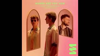 Lost Frequencies  - Where Are You Now () Ft. Calum Scott Resimi