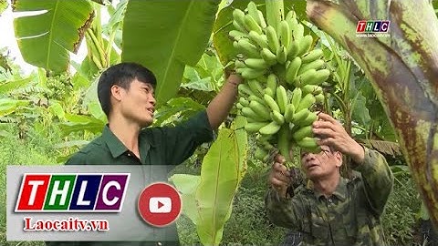 Đảm bảo thu nhập theo bộ tiêu chí nông thôn mới | THLC