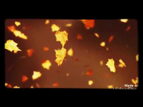 ახლაც უეცრად მოვარდა ქარი...