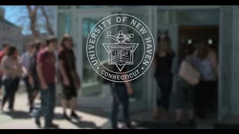 University of New Haven Class of 2017