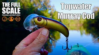 Topwater Murray Cod Fishing From A Kayak | The Full Scale