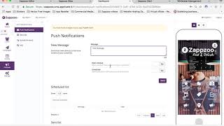 Push Notifications Basics