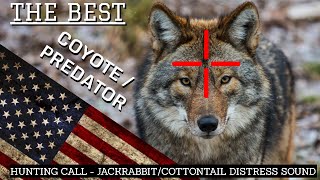 BEST COYOTE PREDATOR CALL! Distress Jackrabbit Cottontail Sound Hunting Shooting Free 1 Hour USA