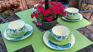 Petunias!!! They bloom all summer long