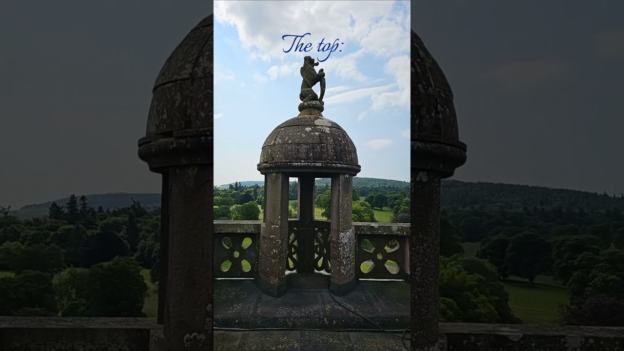 Which angle is your favourite? 💬💙