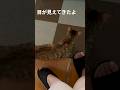 失明した娘の目が見えるように、なってきました!